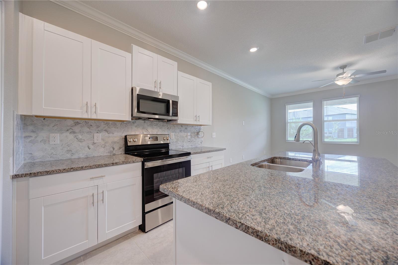 31970 BLUE PASSING LOOP, WESLEY CHAPEL, FL, 33545