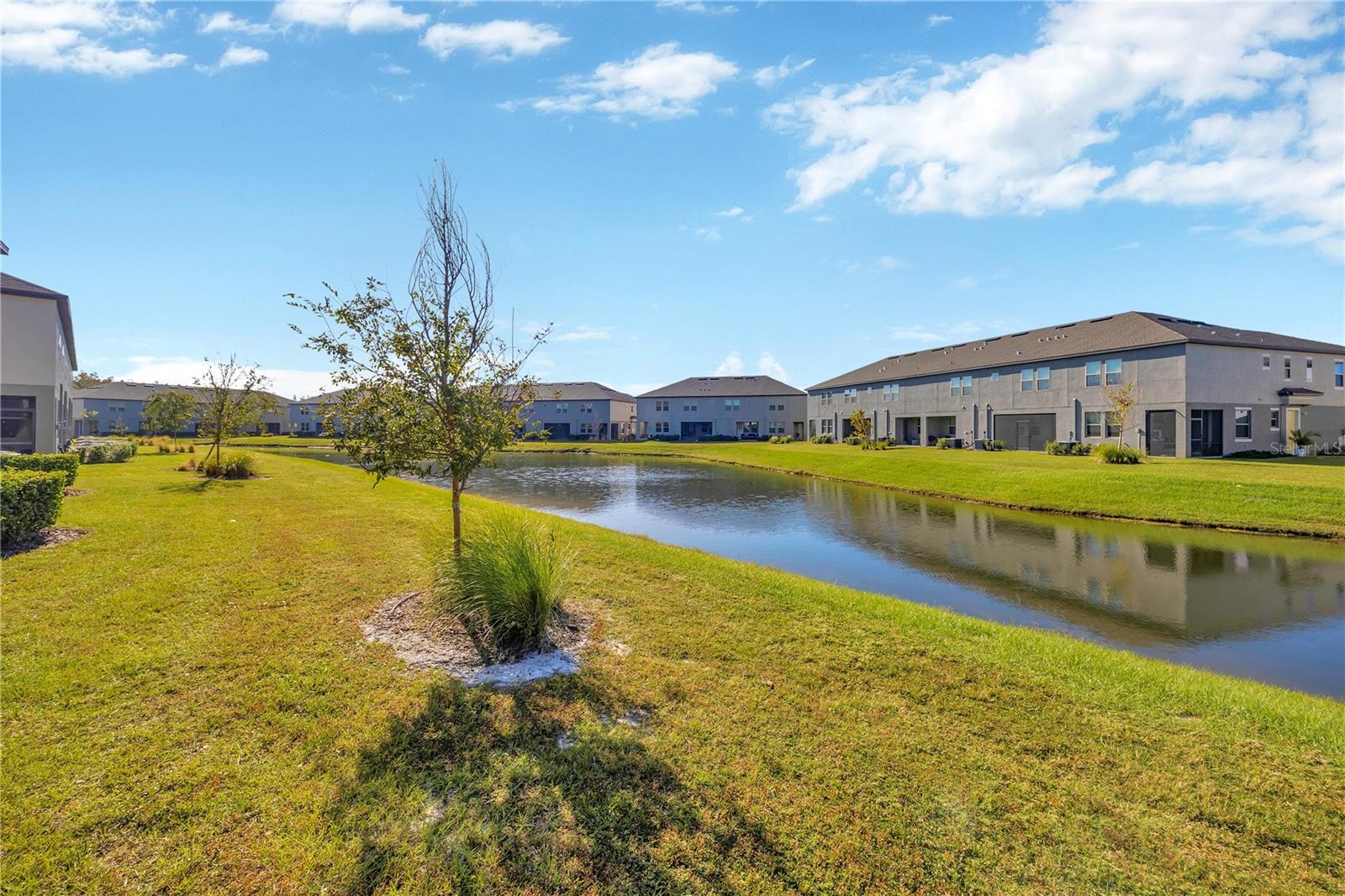 31970 BLUE PASSING LOOP, WESLEY CHAPEL, FL, 33545