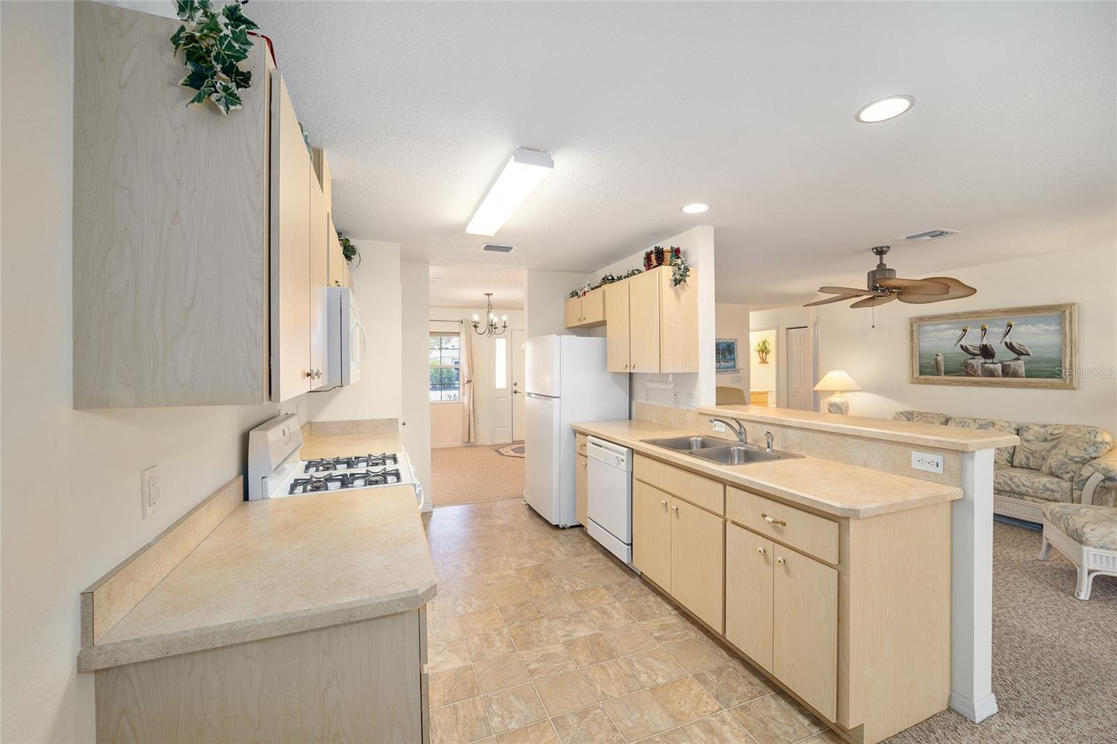 9111 SW 102ND CIR, OCALA, FL, 34481