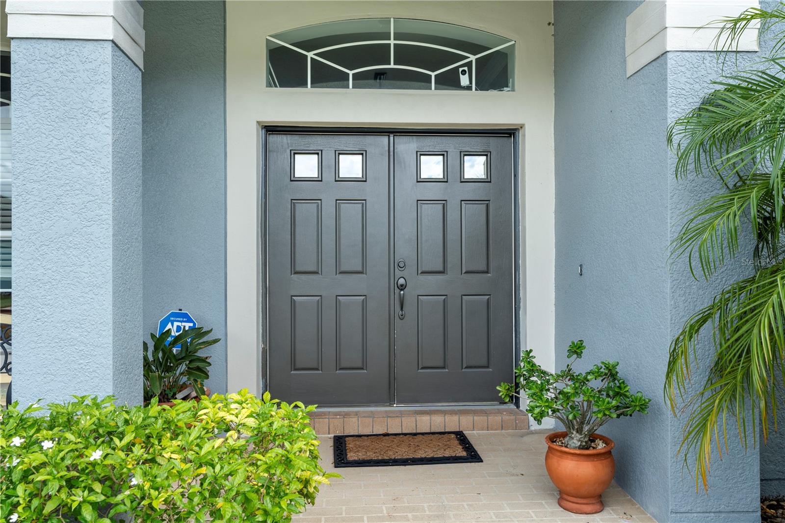 31055 EDENDALE DR, WESLEY CHAPEL, FL, 33543