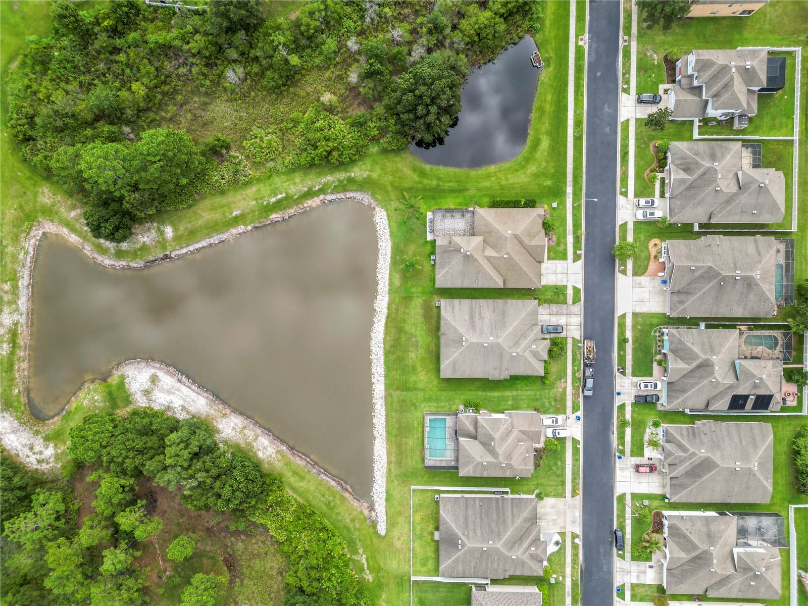 31055 EDENDALE DR, WESLEY CHAPEL, FL, 33543