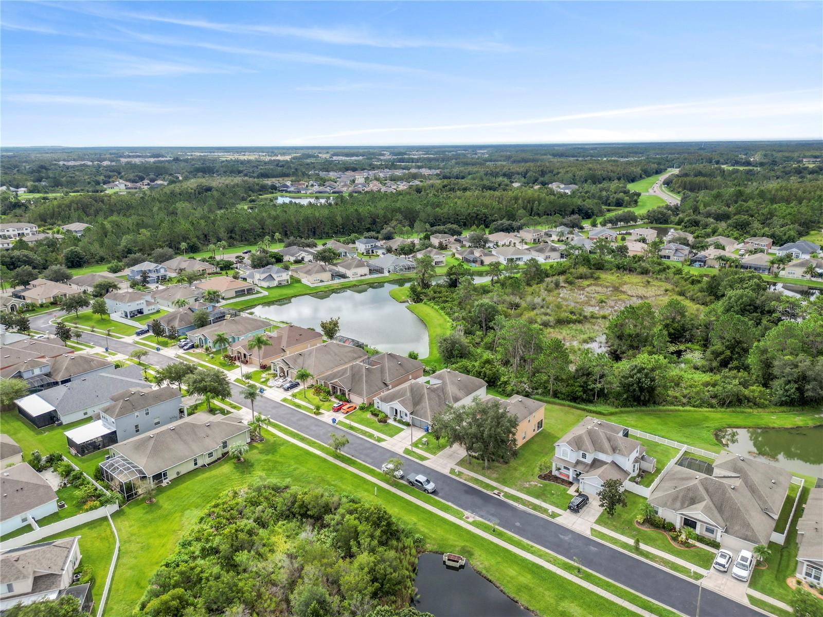 31055 EDENDALE DR, WESLEY CHAPEL, FL, 33543