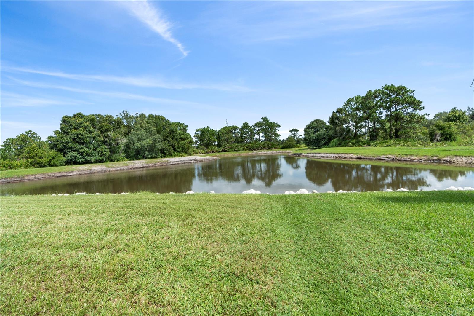 31055 EDENDALE DR, WESLEY CHAPEL, FL, 33543
