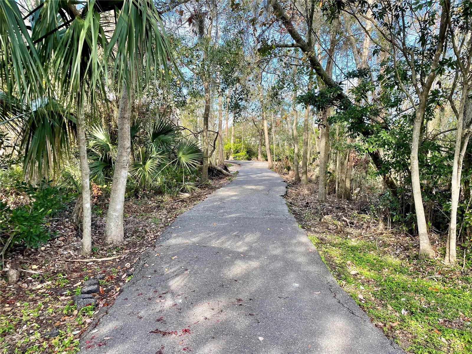 2704 BARRET AVE, PLANT CITY, FL, 33566