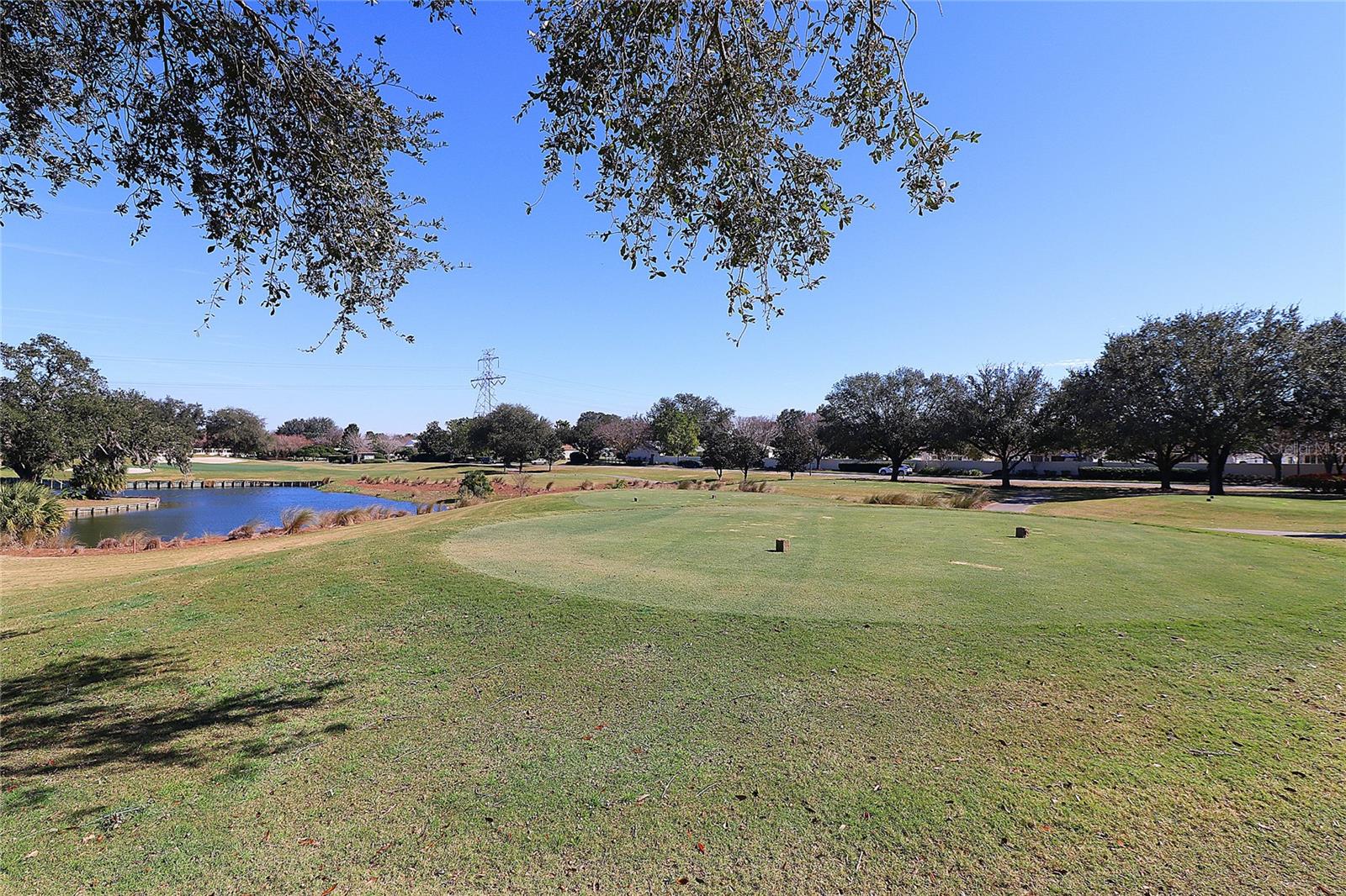 9059 SE 177TH GRASSMERE ST, THE VILLAGES, FL, 32162