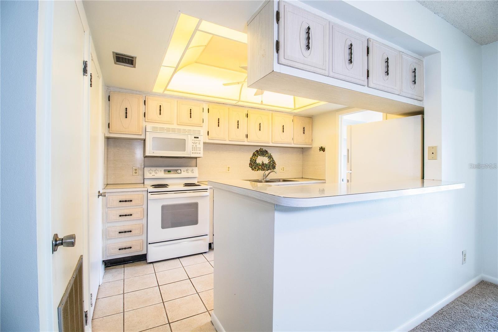 1130 N LAKE PARKER AVE #A202, LAKELAND, FL, 33805