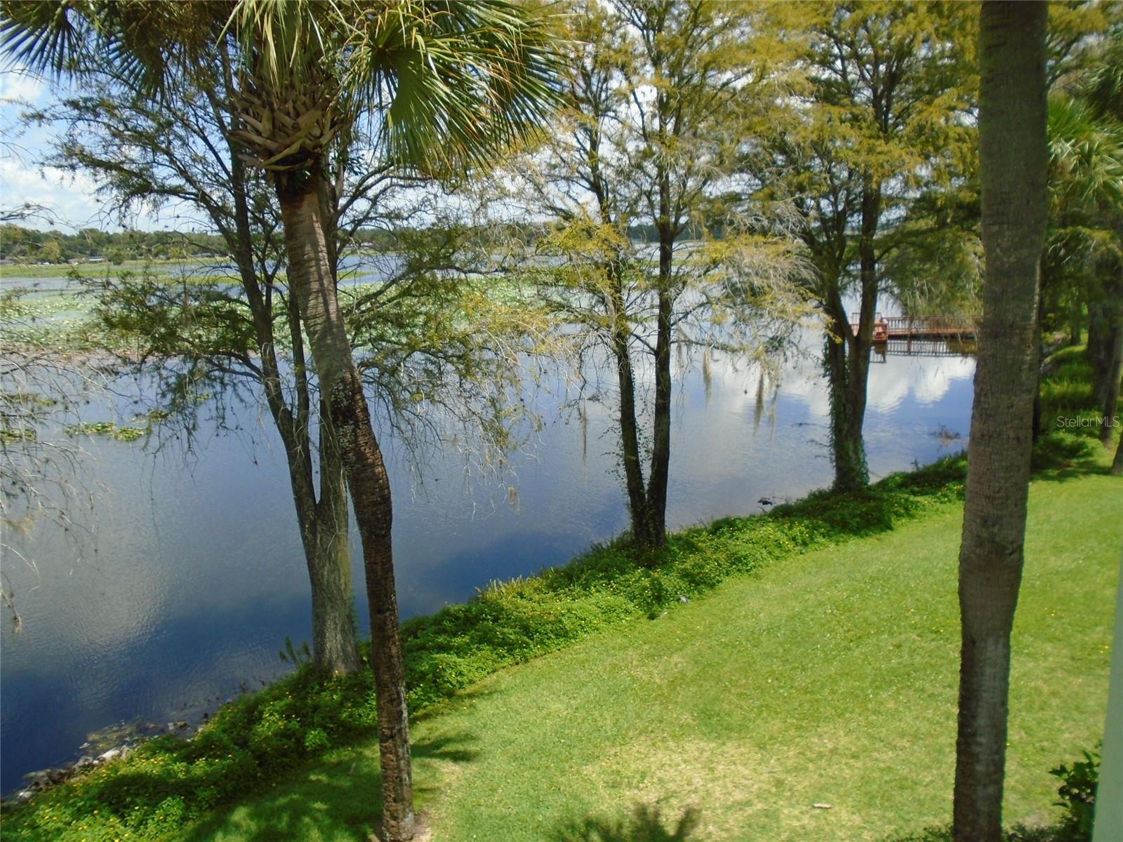 1130 N LAKE PARKER AVE #A202, LAKELAND, FL, 33805