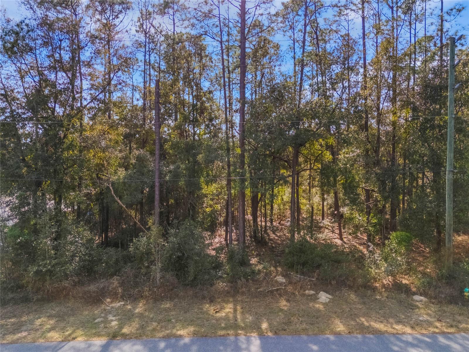 2190 W ARBUTUS DR, CITRUS SPRINGS, FL, 34434