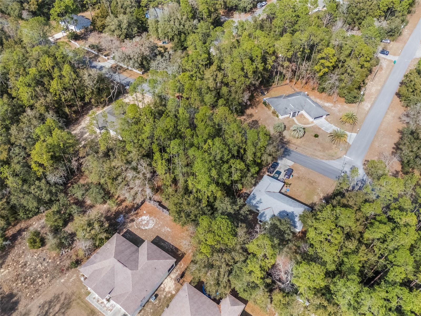 2190 W ARBUTUS DR, CITRUS SPRINGS, FL, 34434