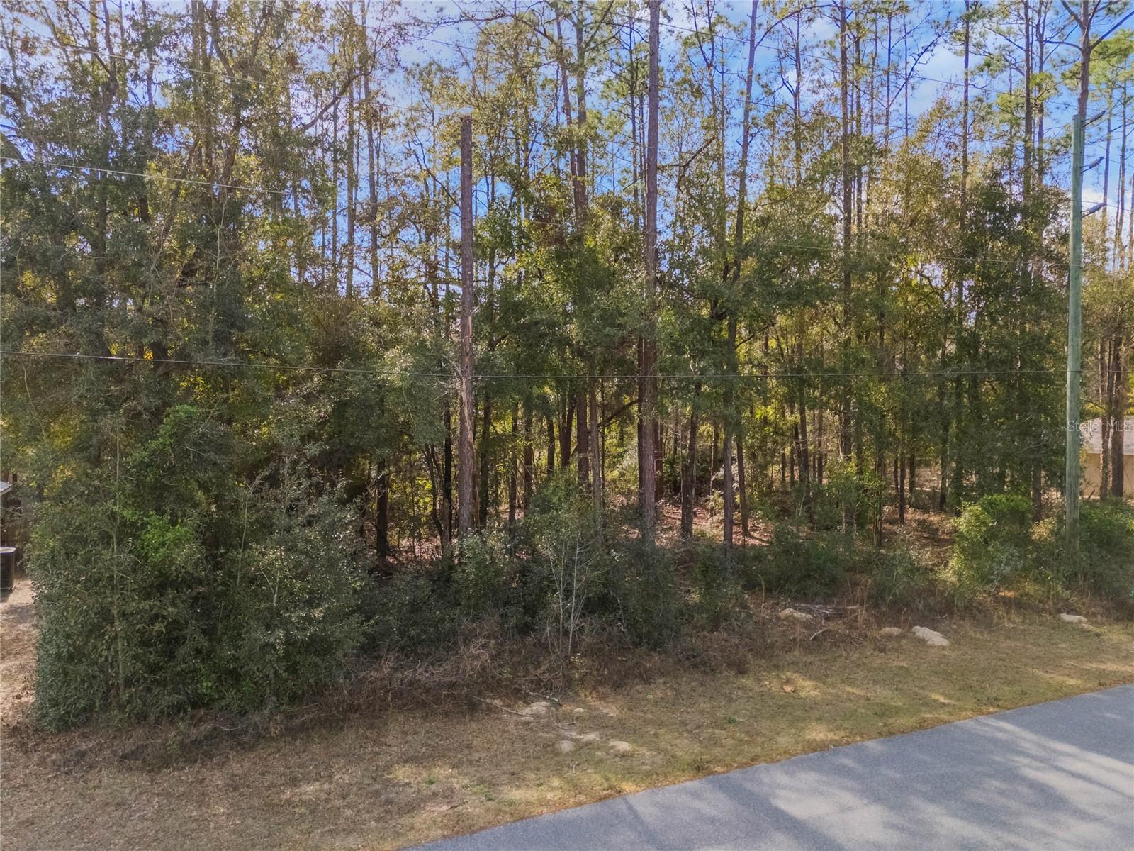 2190 W ARBUTUS DR, CITRUS SPRINGS, FL, 34434