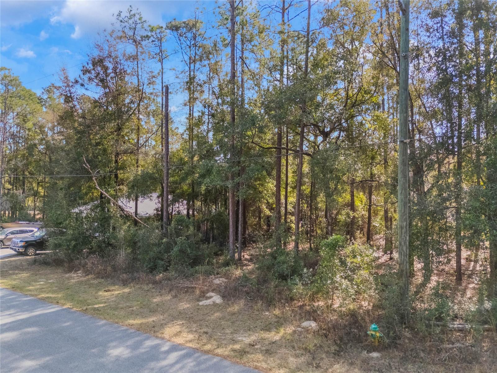 2190 W ARBUTUS DR, CITRUS SPRINGS, FL, 34434