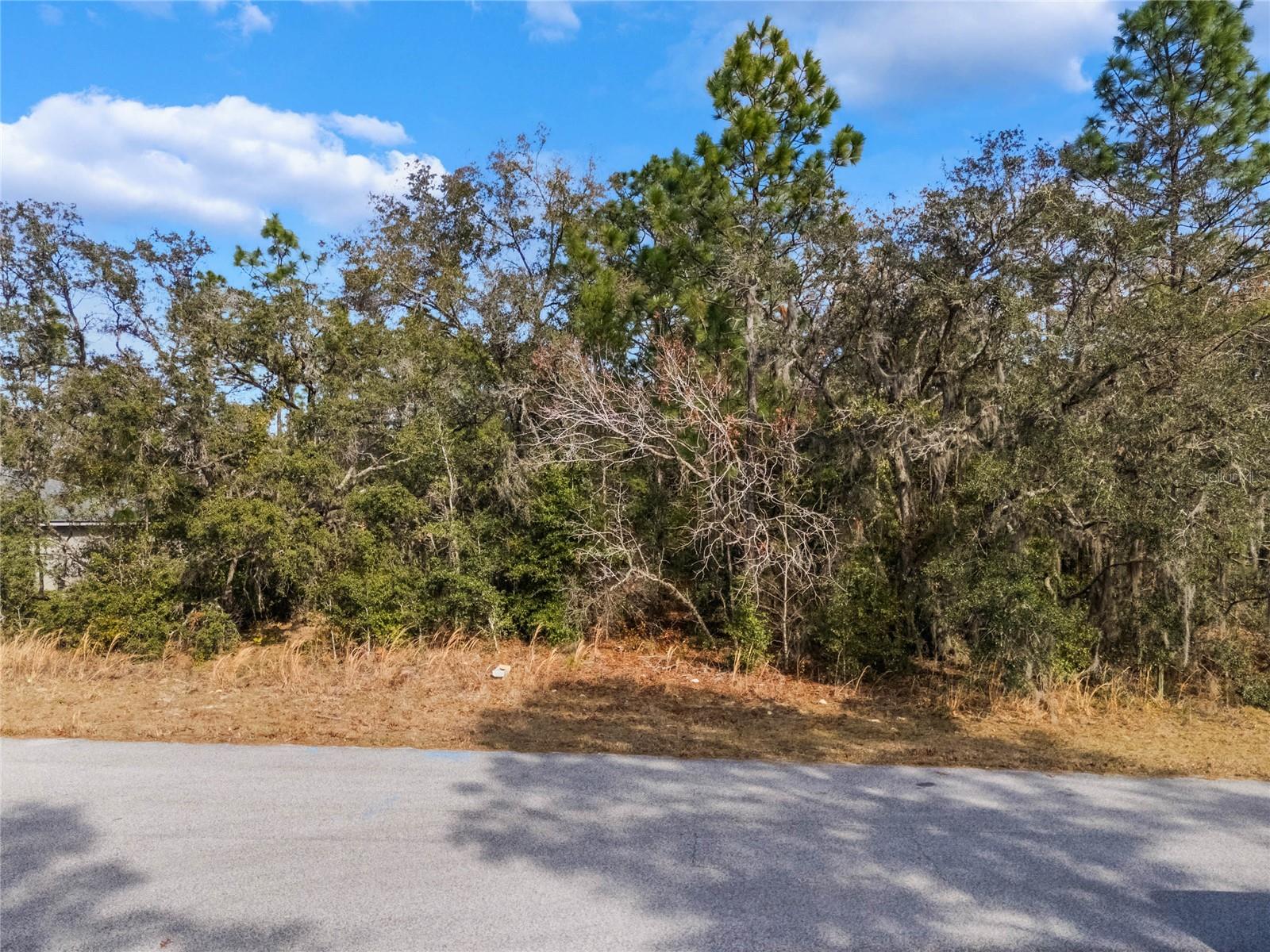 11035 N HARRIET WAY, CITRUS SPRINGS, FL, 34434