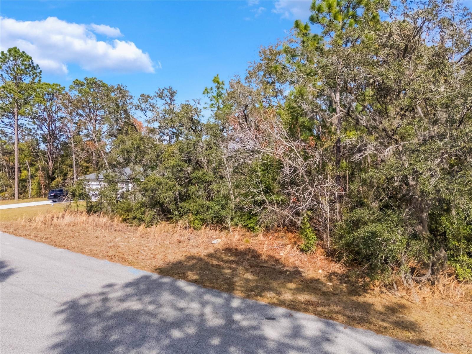 11035 N HARRIET WAY, CITRUS SPRINGS, FL, 34434