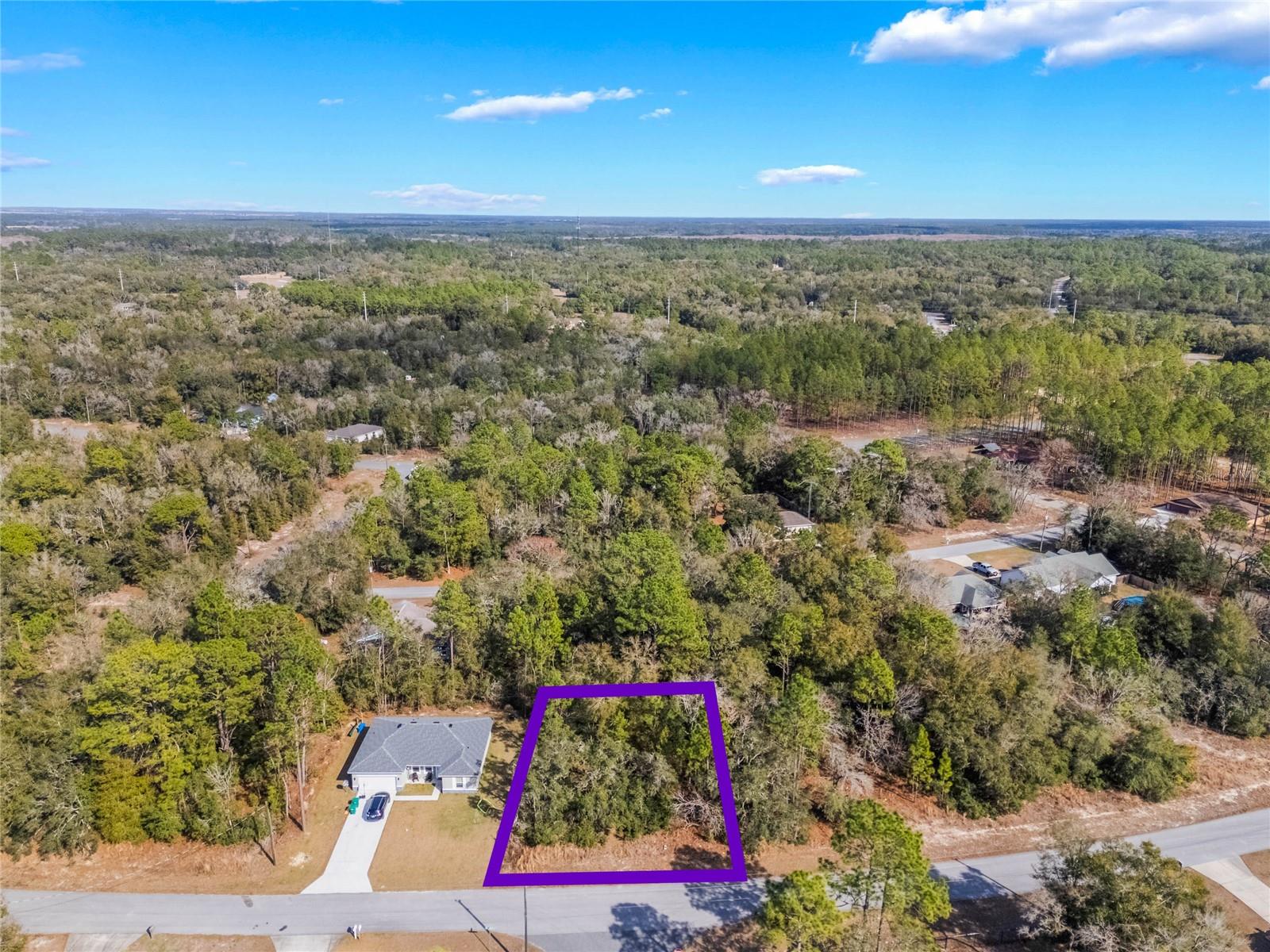 11035 N HARRIET WAY, CITRUS SPRINGS, FL, 34434