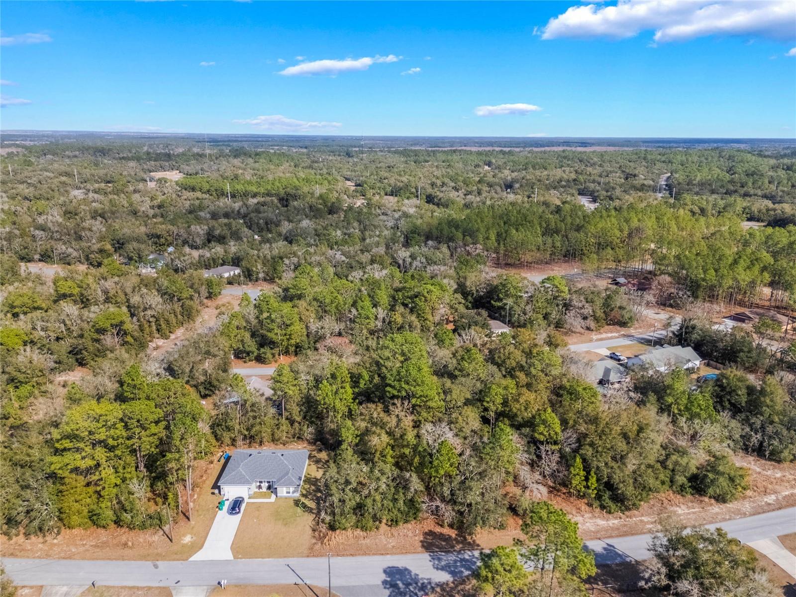11035 N HARRIET WAY, CITRUS SPRINGS, FL, 34434