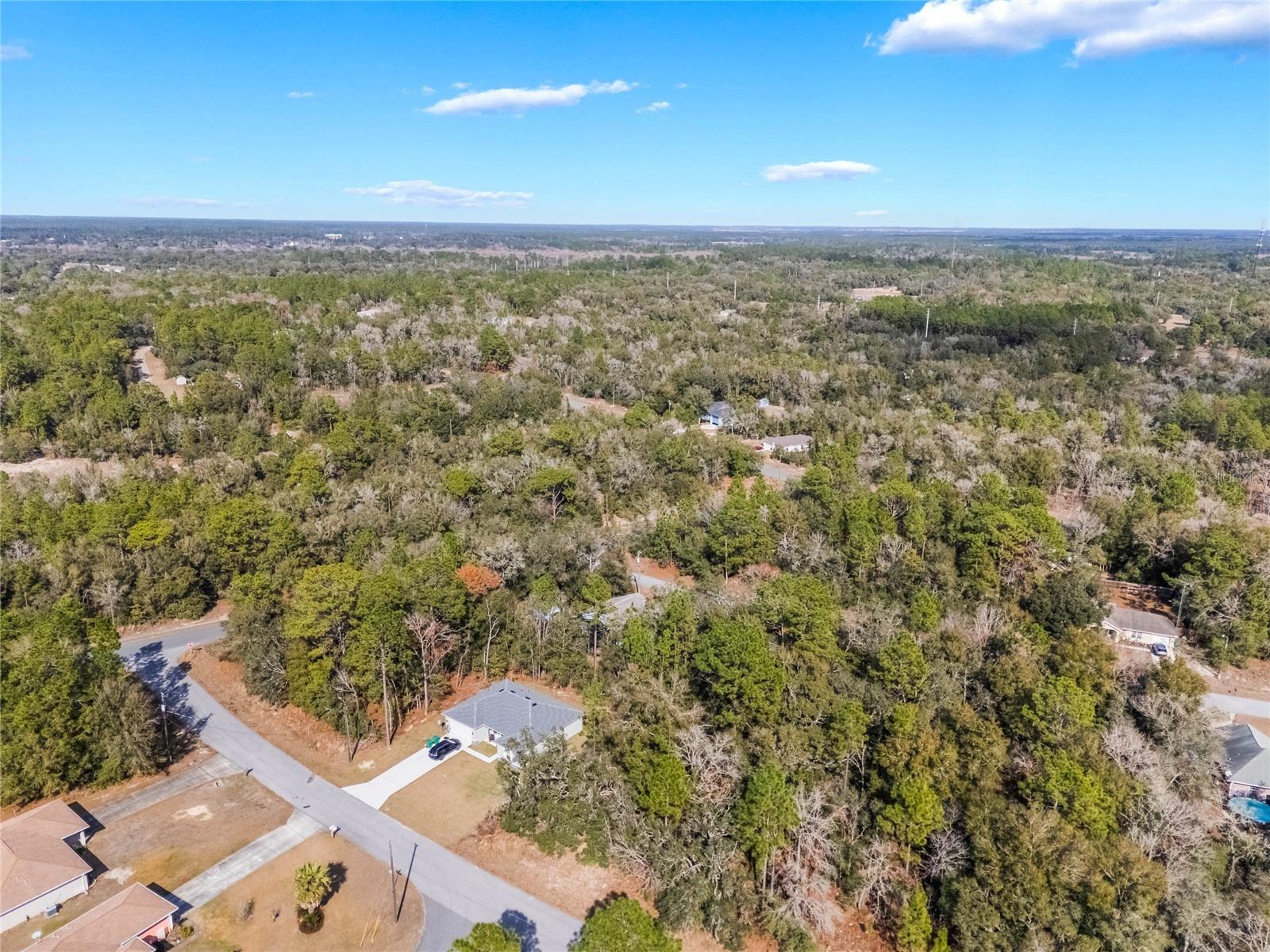 11035 N HARRIET WAY, CITRUS SPRINGS, FL, 34434