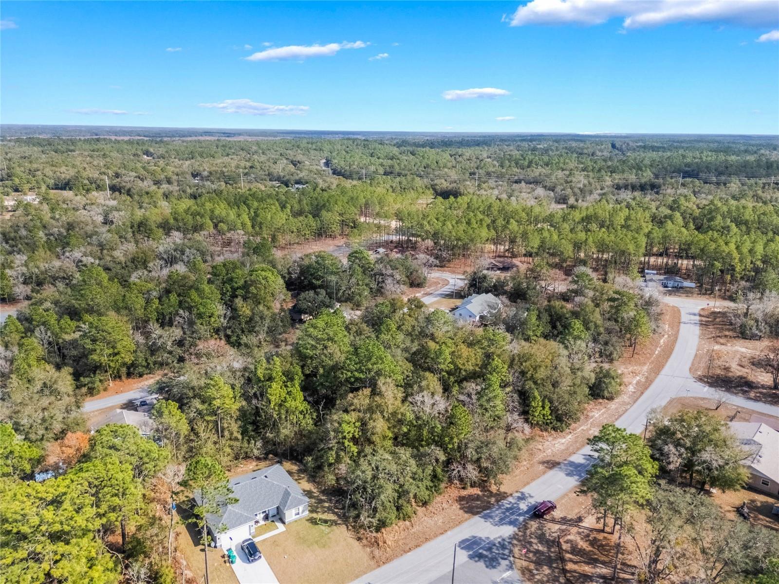 11035 N HARRIET WAY, CITRUS SPRINGS, FL, 34434