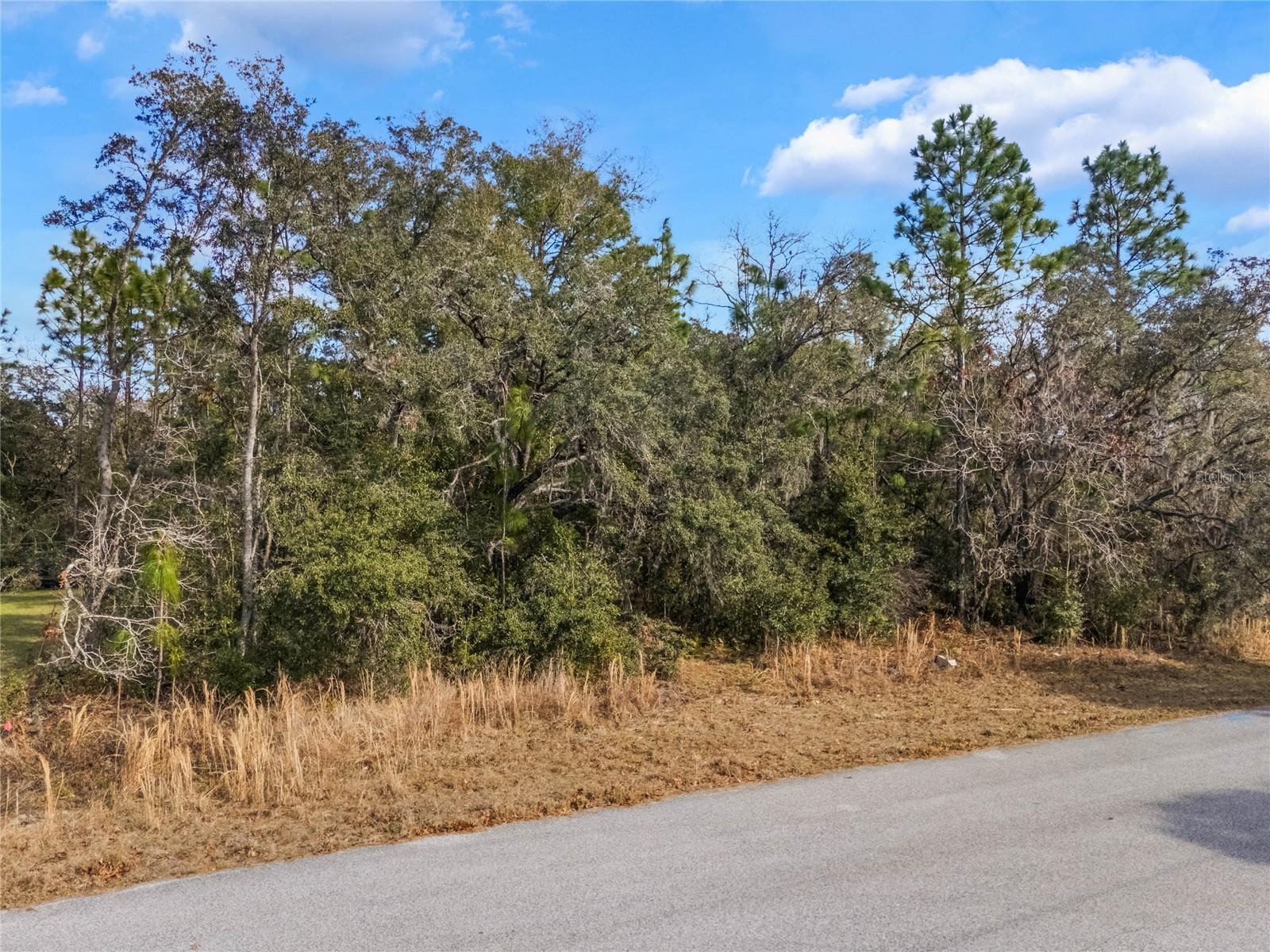 11035 N HARRIET WAY, CITRUS SPRINGS, FL, 34434