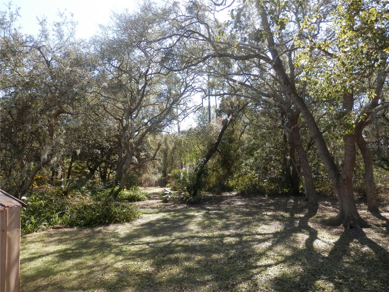 29542 NORTH BLVD, PAISLEY, FL, 32767