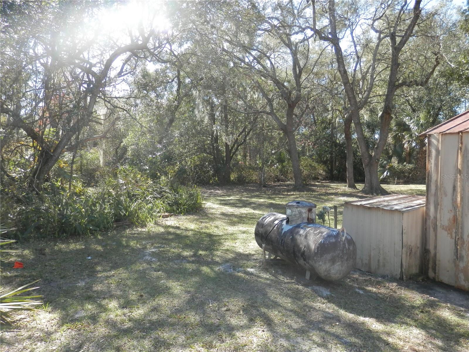 29542 NORTH BLVD, PAISLEY, FL, 32767