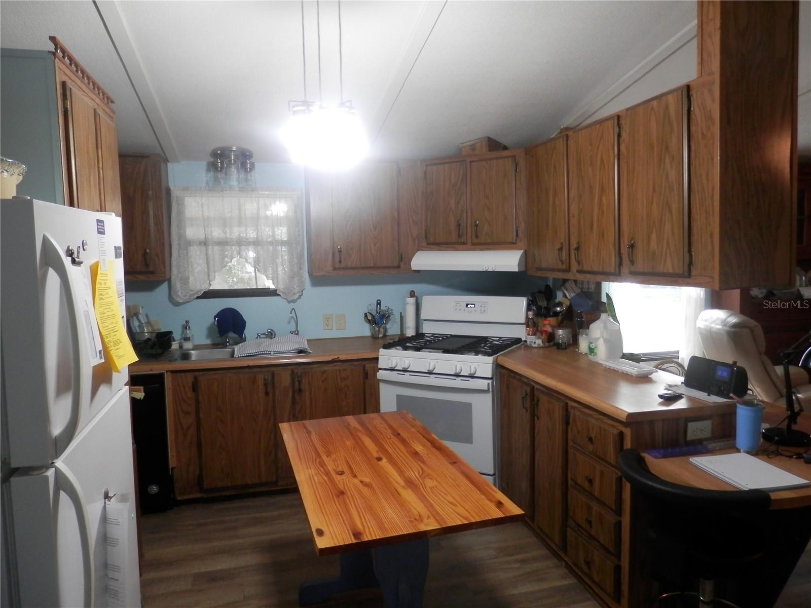 29542 NORTH BLVD, PAISLEY, FL, 32767