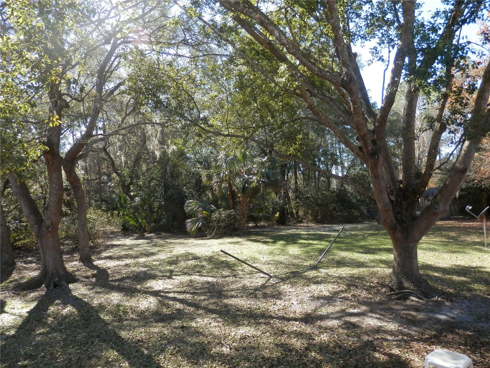 29542 NORTH BLVD, PAISLEY, FL, 32767
