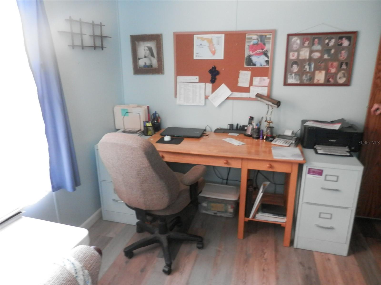29542 NORTH BLVD, PAISLEY, FL, 32767