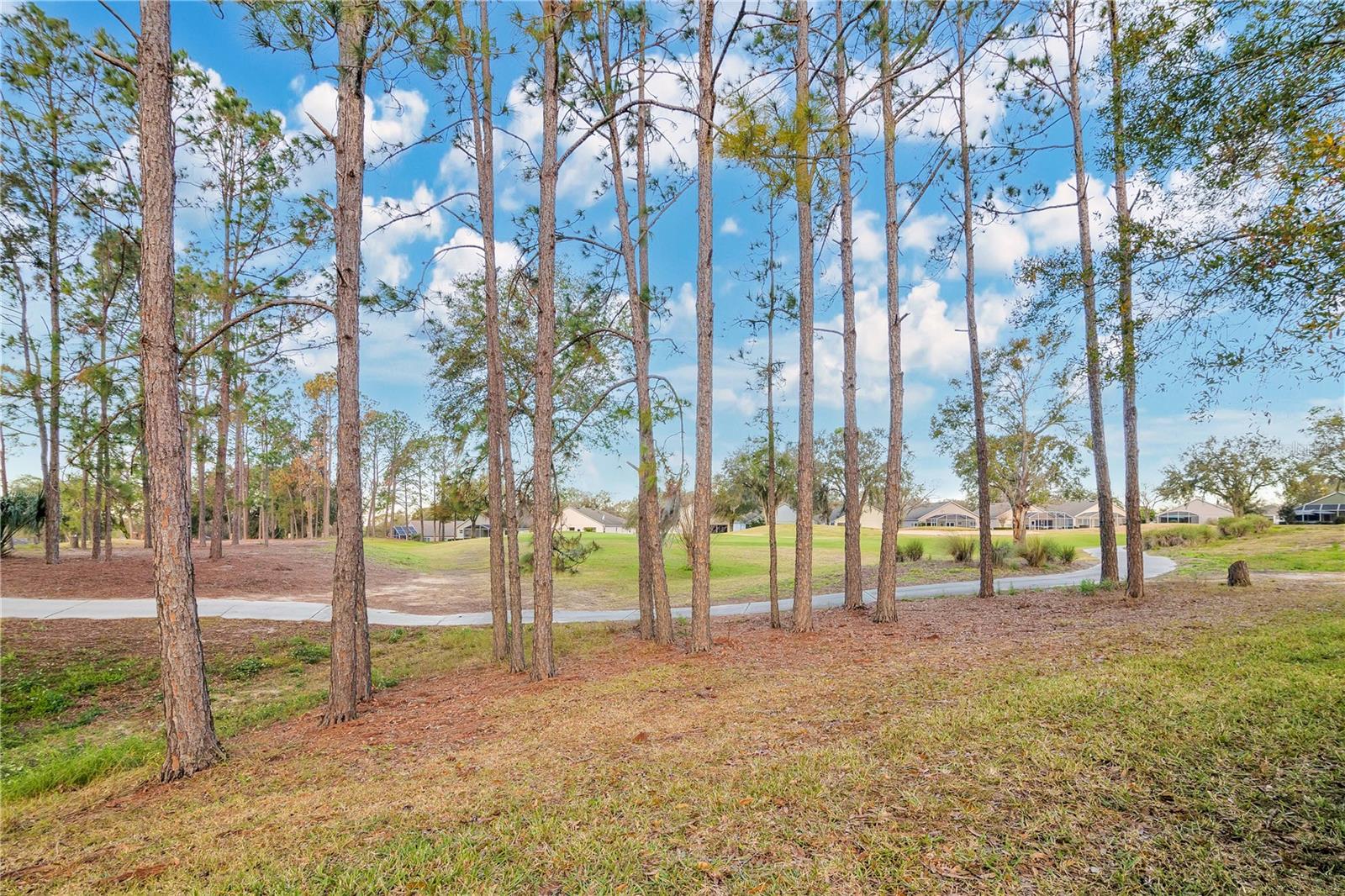 3623 HAWKSHEAD DR, CLERMONT, FL, 34711