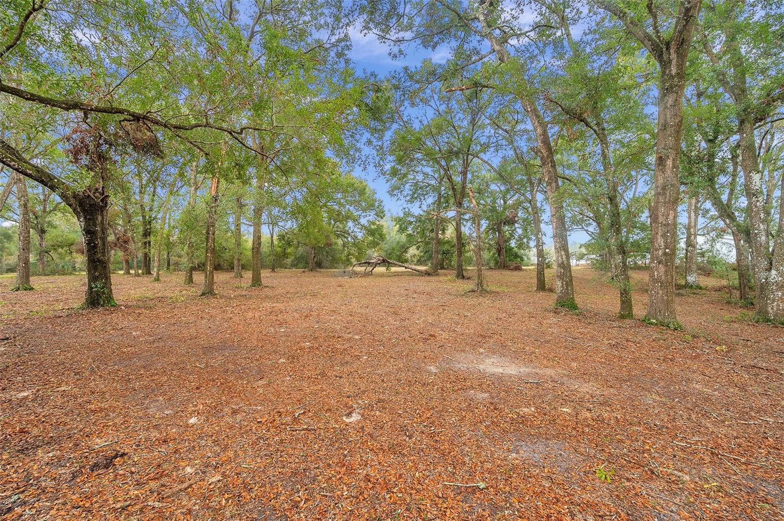 18625 DEASON DR, SPRING HILL, FL, 34610