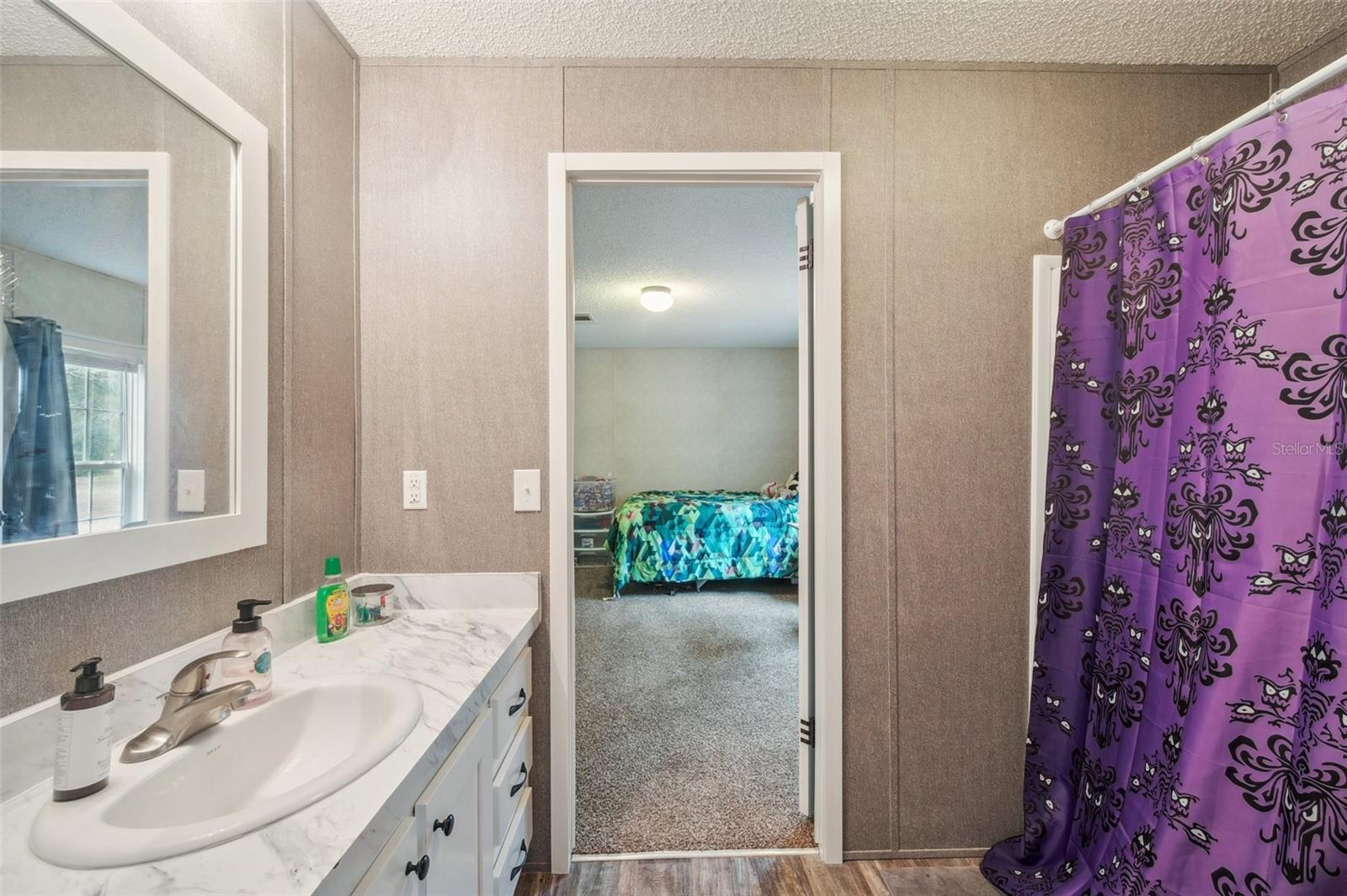 18625 DEASON DR, SPRING HILL, FL, 34610