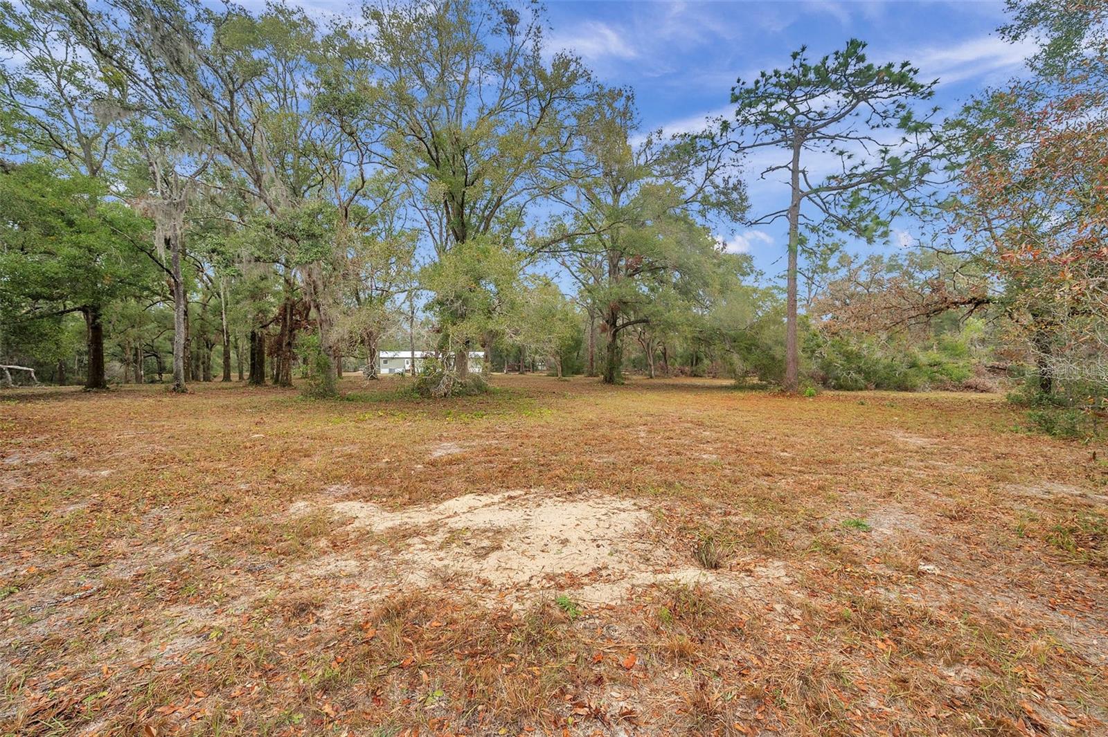 18625 DEASON DR, SPRING HILL, FL, 34610