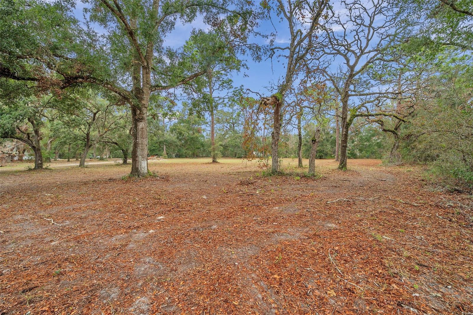 18625 DEASON DR, SPRING HILL, FL, 34610