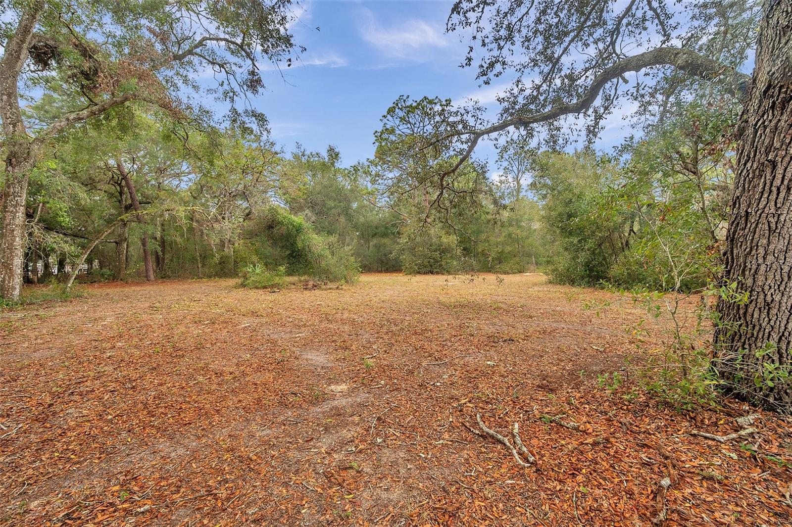 18625 DEASON DR, SPRING HILL, FL, 34610