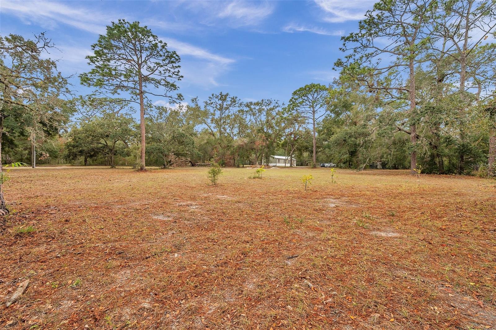 18625 DEASON DR, SPRING HILL, FL, 34610