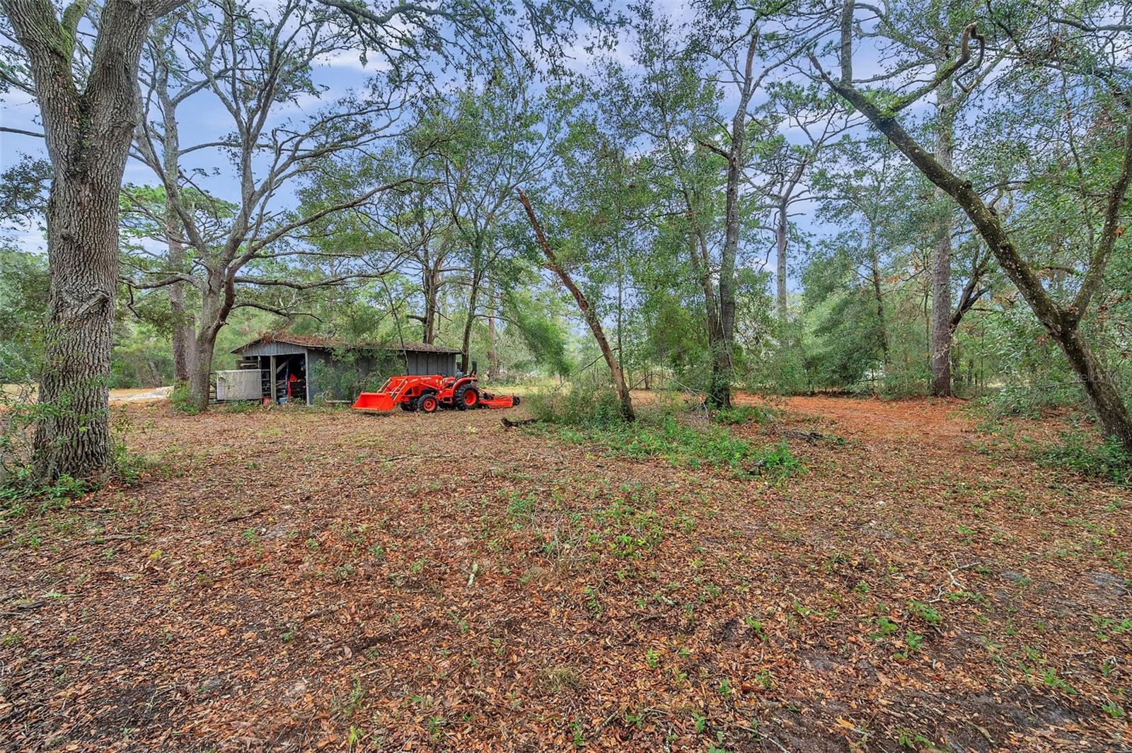 18625 DEASON DR, SPRING HILL, FL, 34610