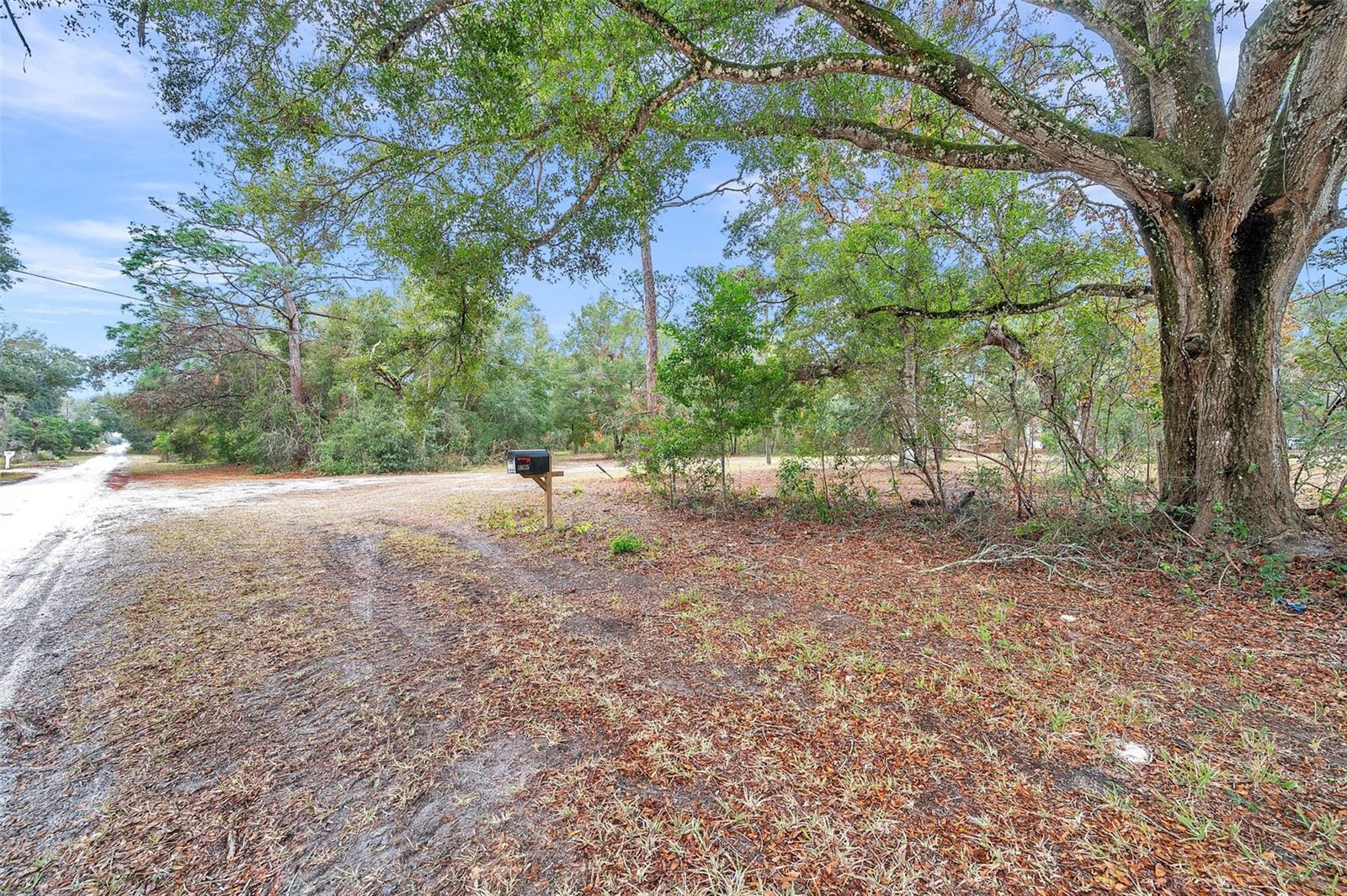 18625 DEASON DR, SPRING HILL, FL, 34610