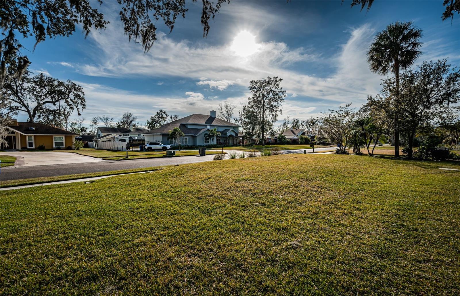118 LAUREL TREE WAY, BRANDON, FL, 33511