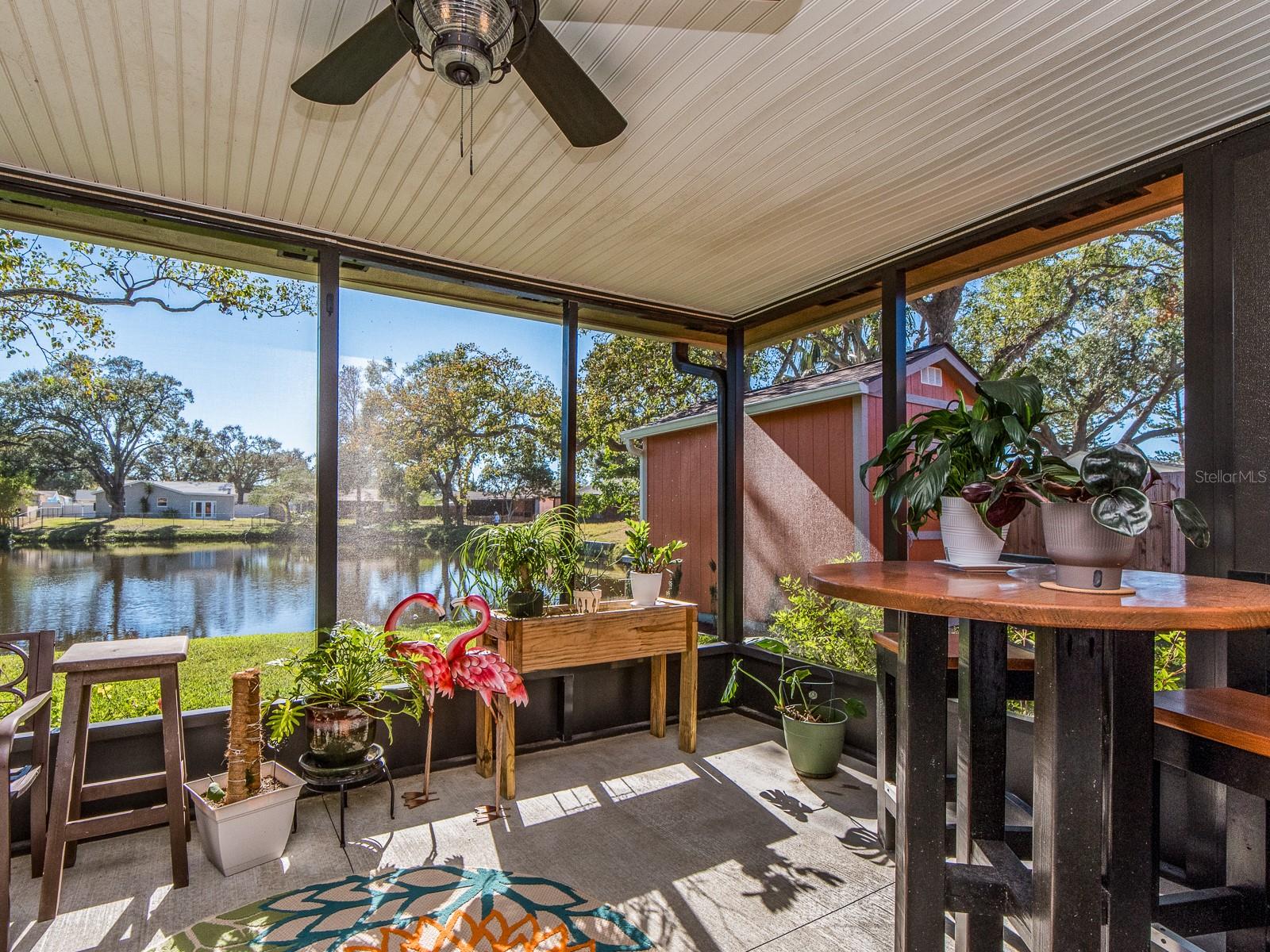 9444 MONICA DR, SEMINOLE, FL, 33777