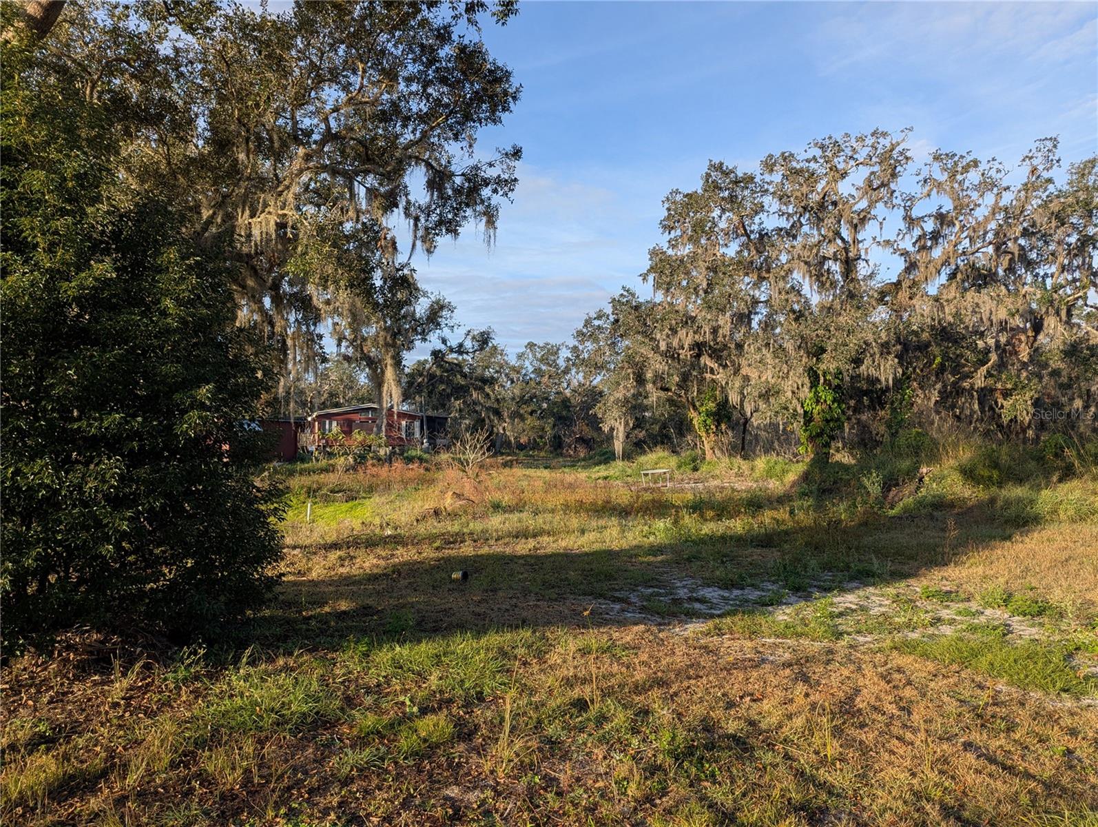 3016 SAFFOLD RD, WIMAUMA, FL, 33598