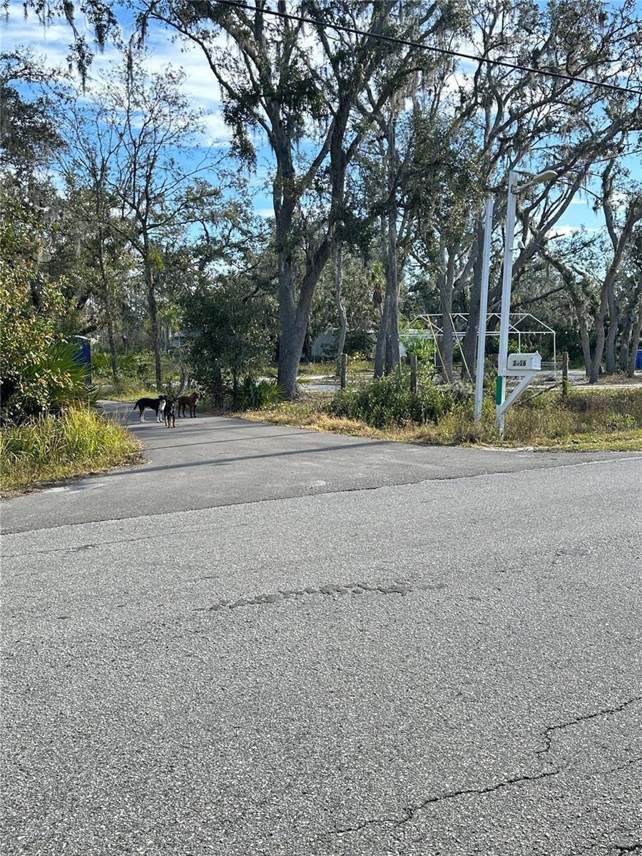 3016 SAFFOLD RD, WIMAUMA, FL, 33598