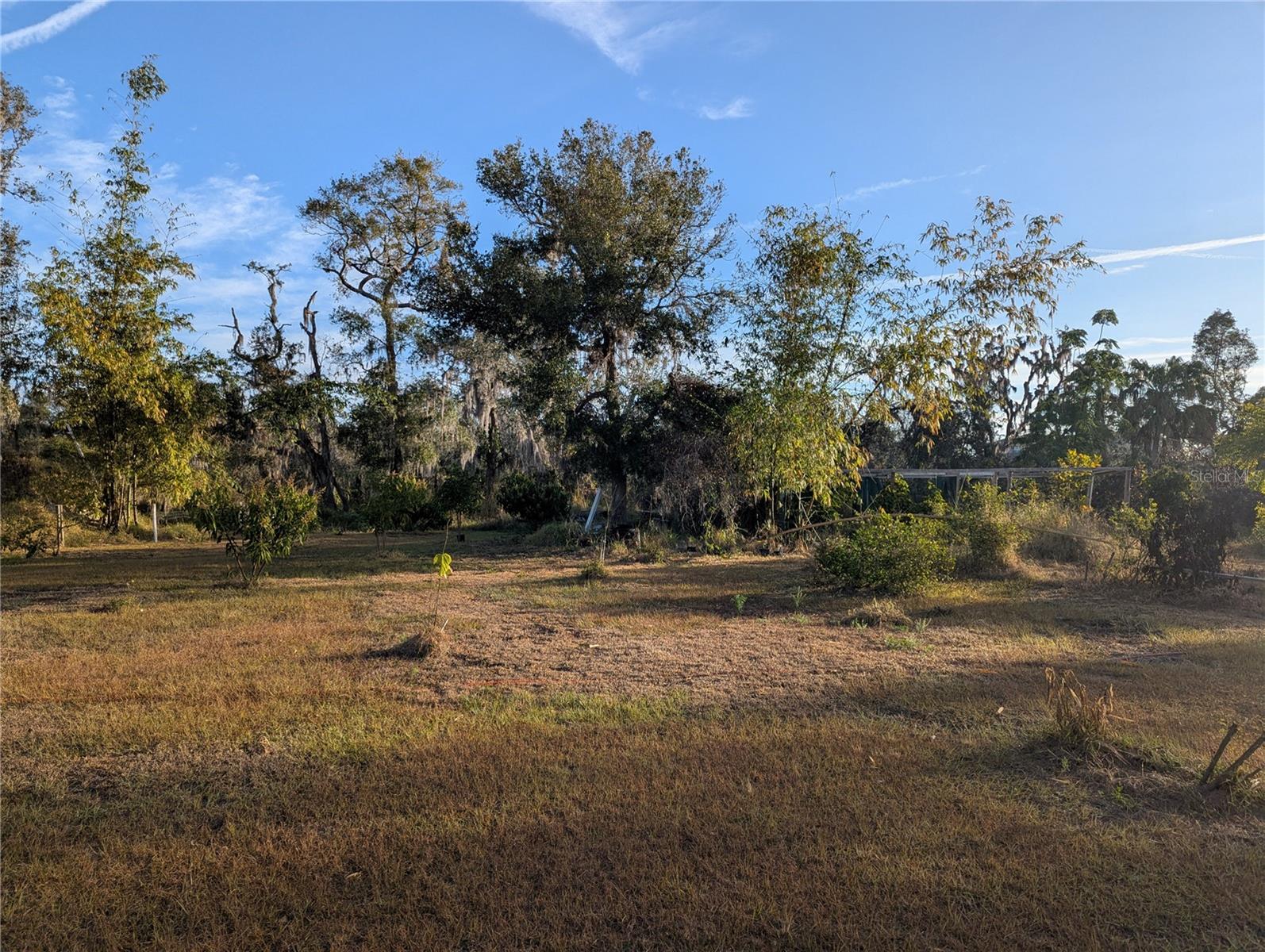 3016 SAFFOLD RD, WIMAUMA, FL, 33598
