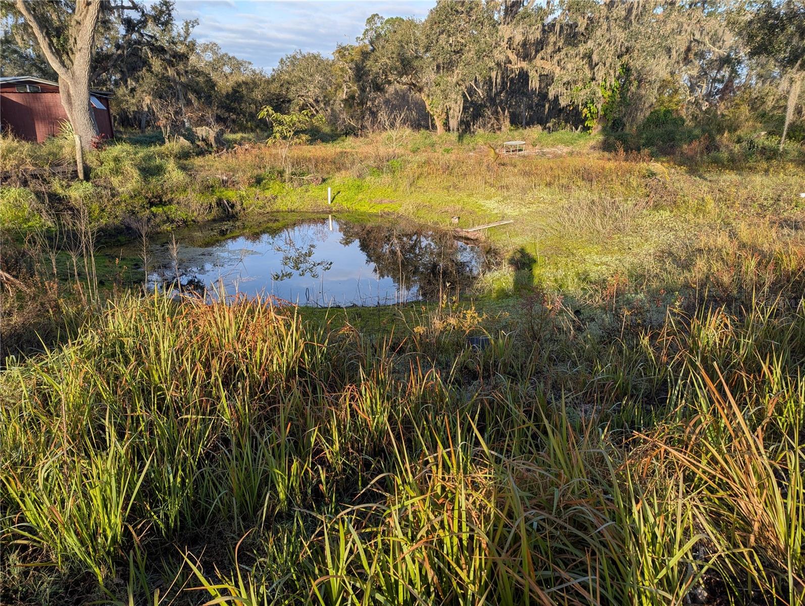 3016 SAFFOLD RD, WIMAUMA, FL, 33598