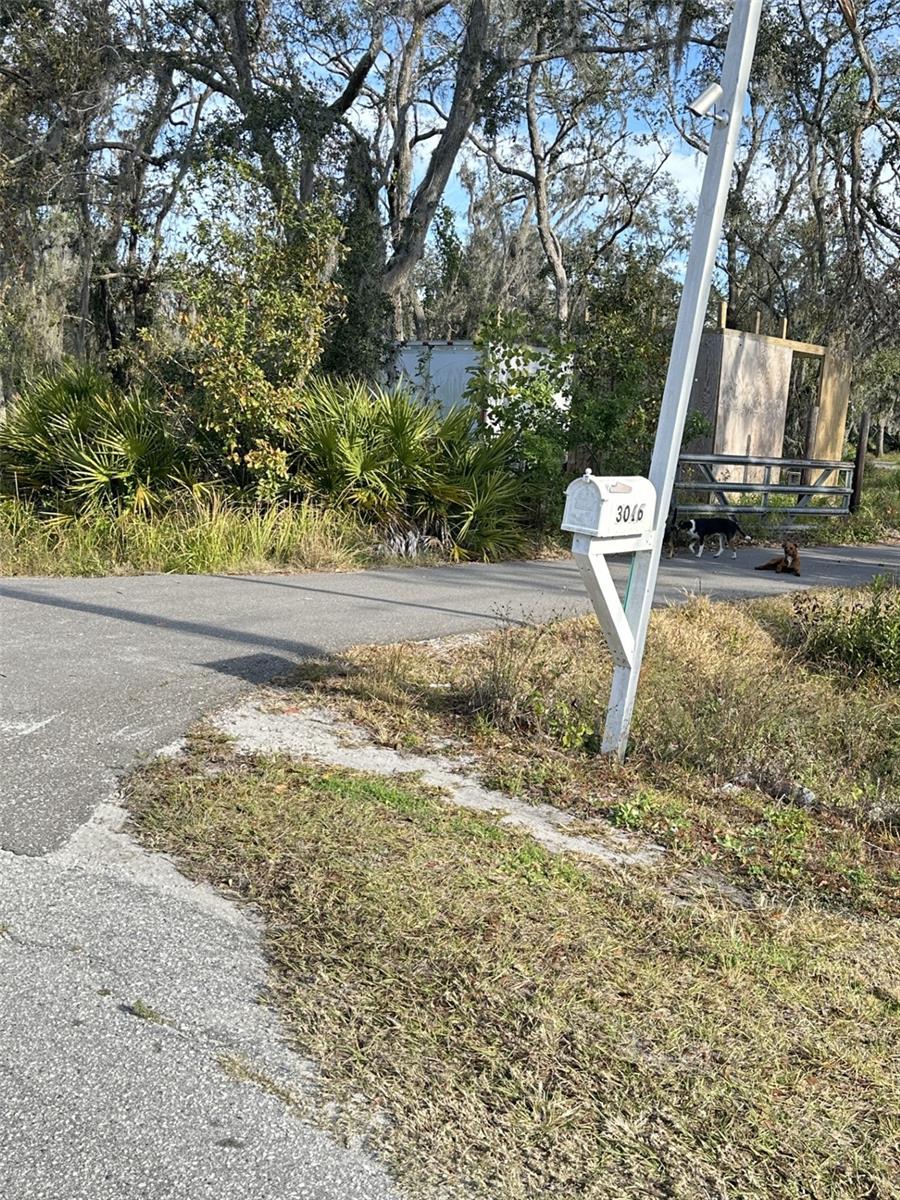 3016 SAFFOLD RD, WIMAUMA, FL, 33598