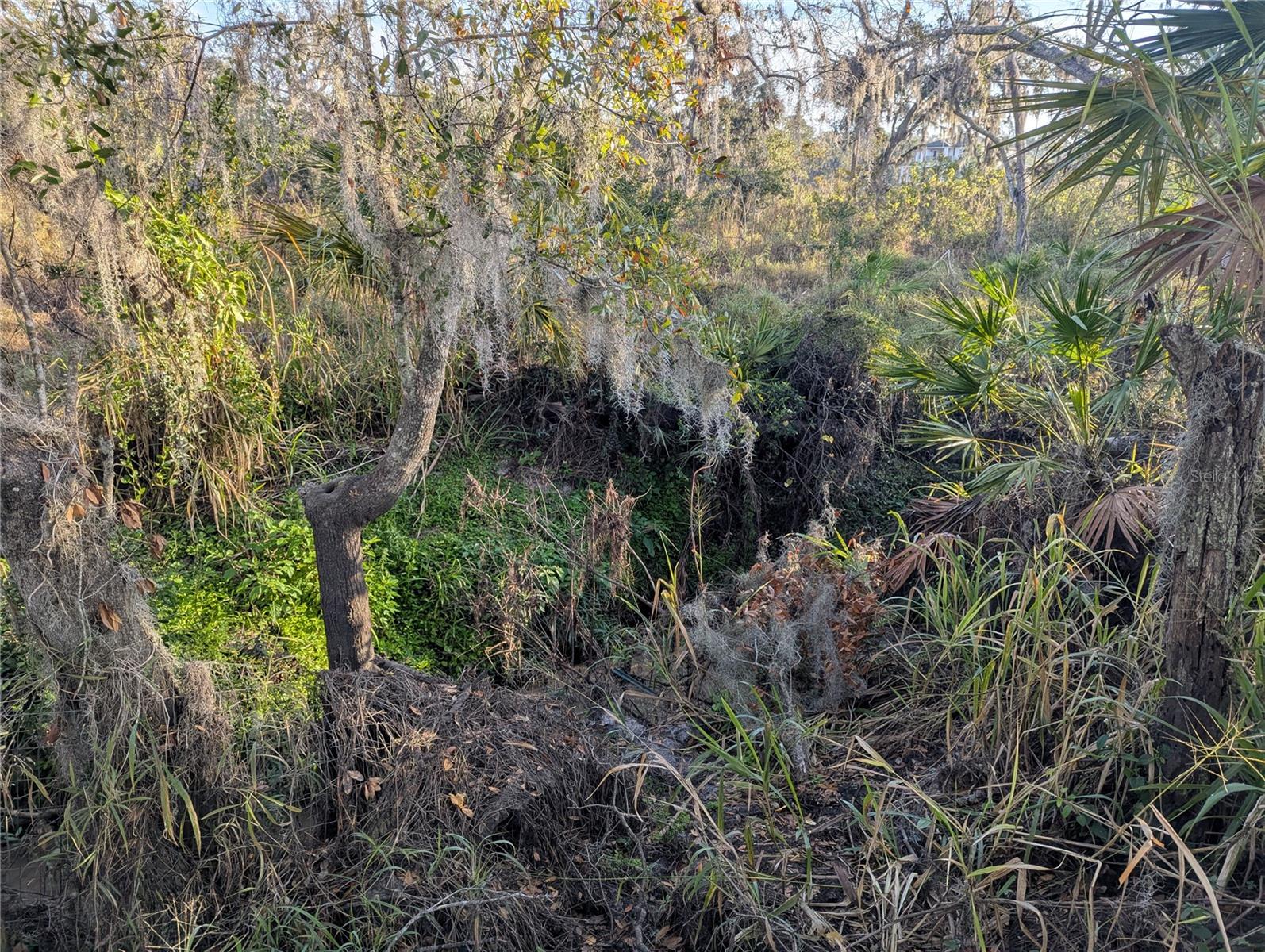 3016 SAFFOLD RD, WIMAUMA, FL, 33598