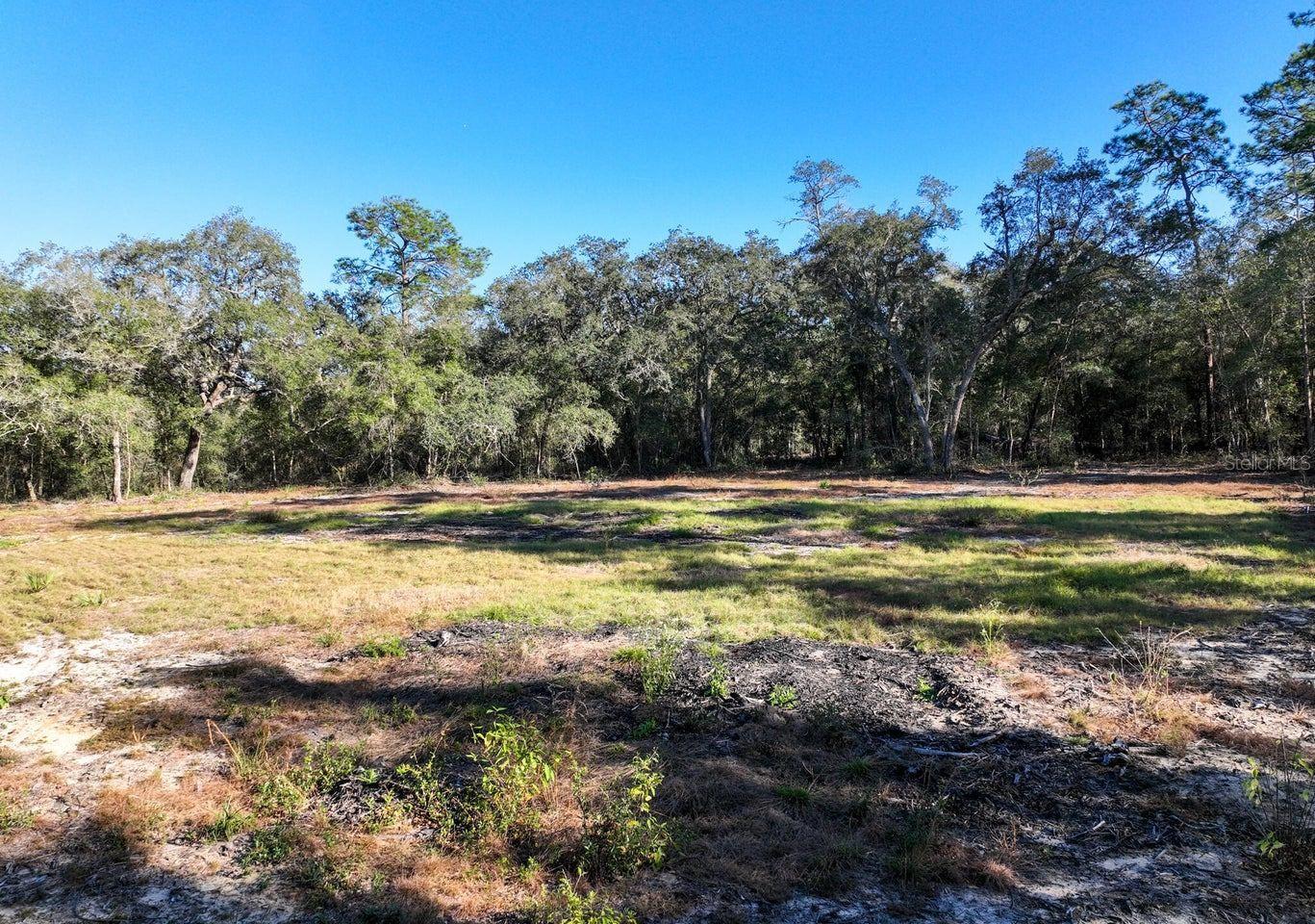 1551 STATE ROAD 100, MELROSE, FL, 32666