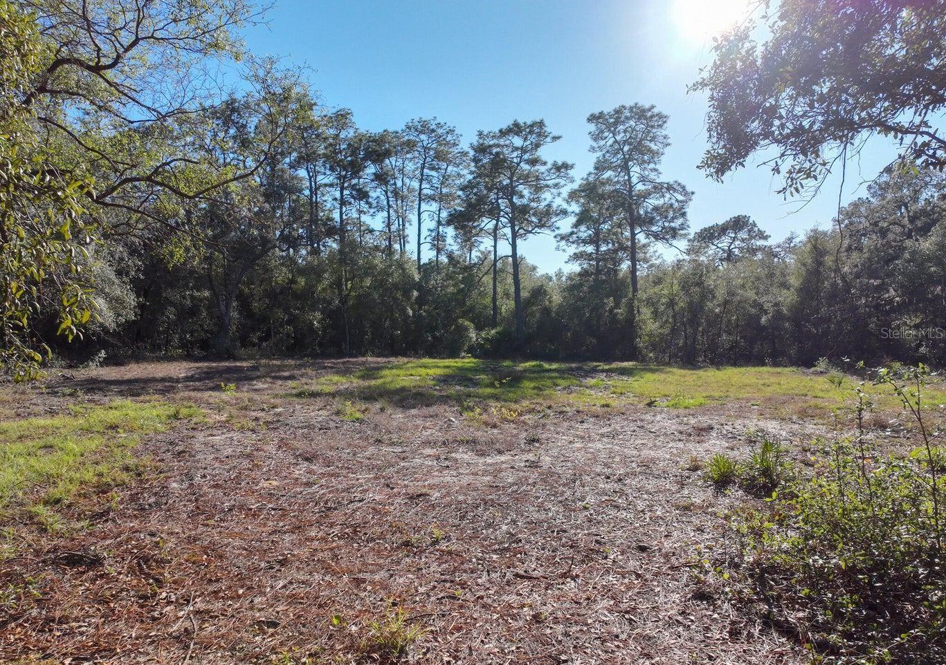 1551 STATE ROAD 100, MELROSE, FL, 32666