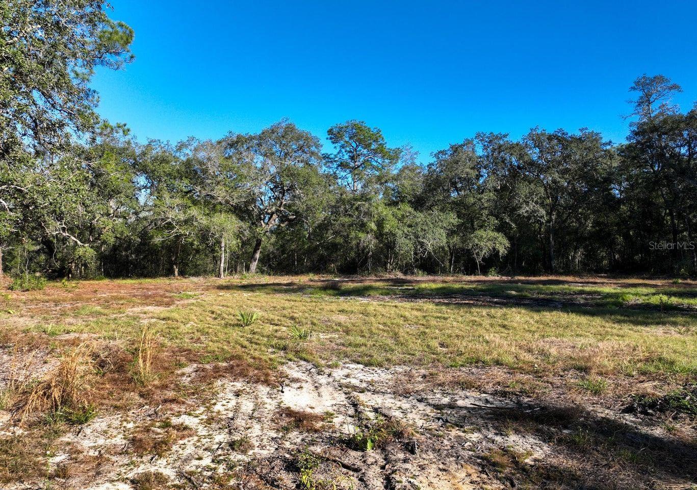 1551 STATE ROAD 100, MELROSE, FL, 32666