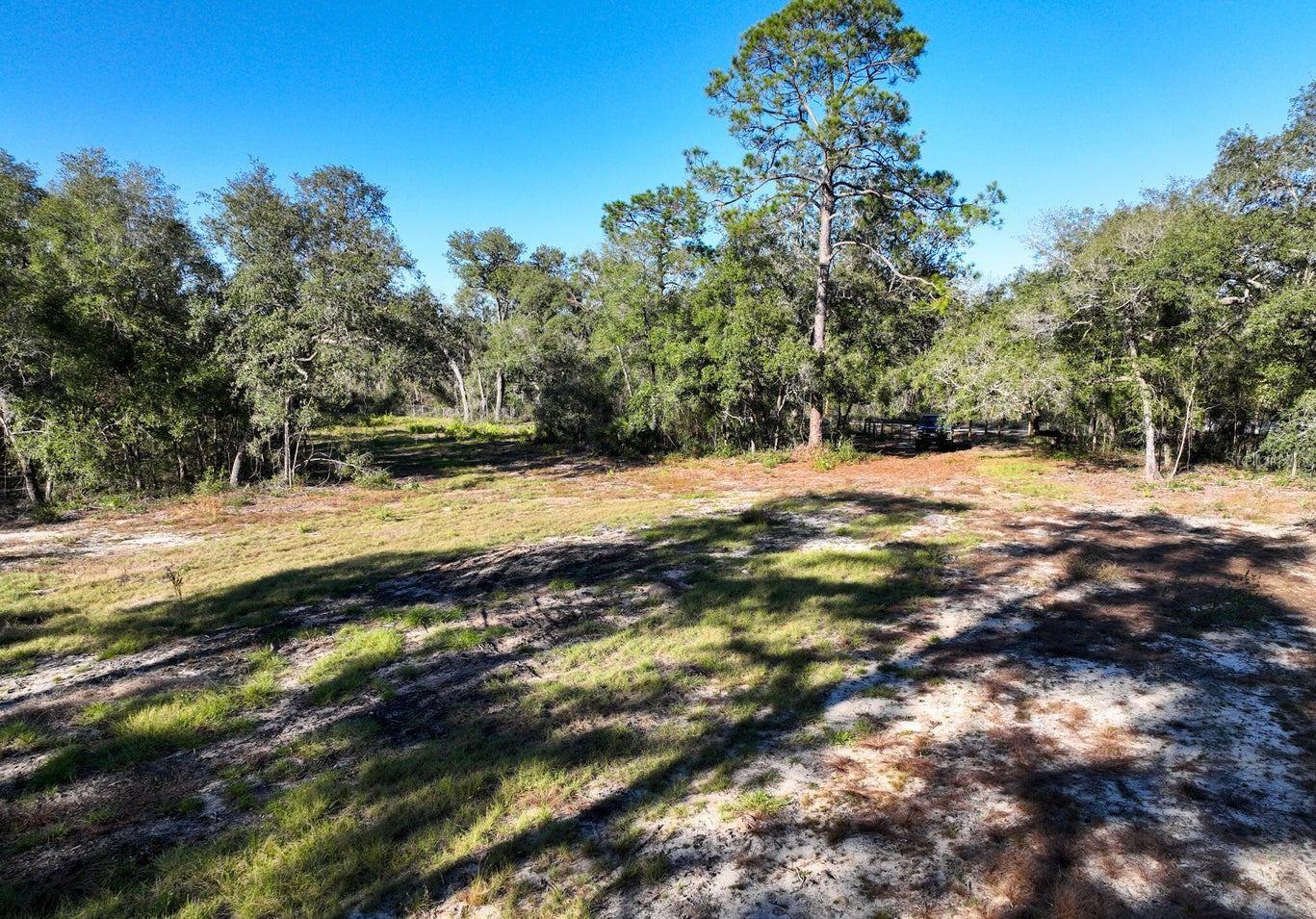 1551 STATE ROAD 100, MELROSE, FL, 32666