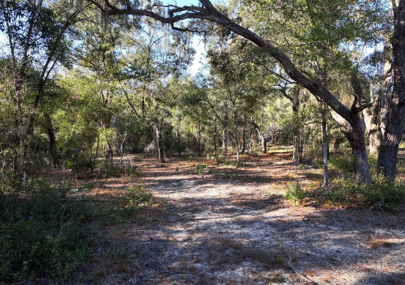 1551 STATE ROAD 100, MELROSE, FL, 32666