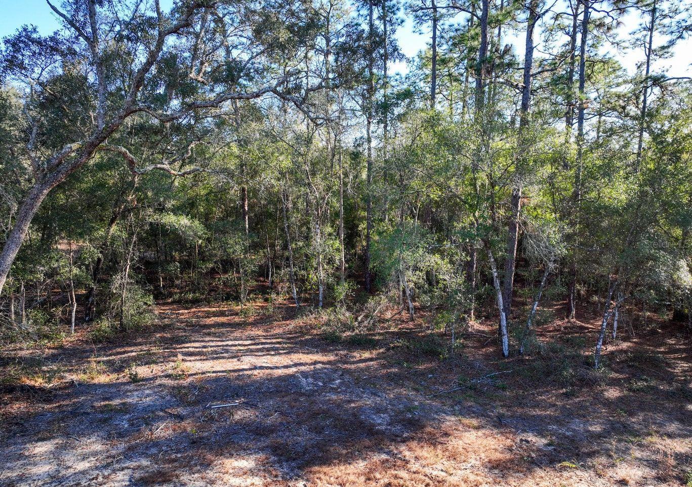 1551 STATE ROAD 100, MELROSE, FL, 32666